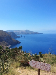 photo 873641