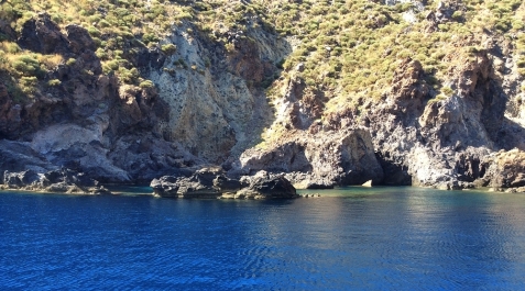photo 877836