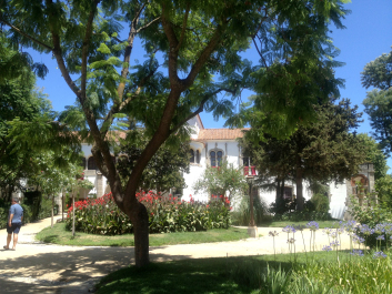 photo 1099553