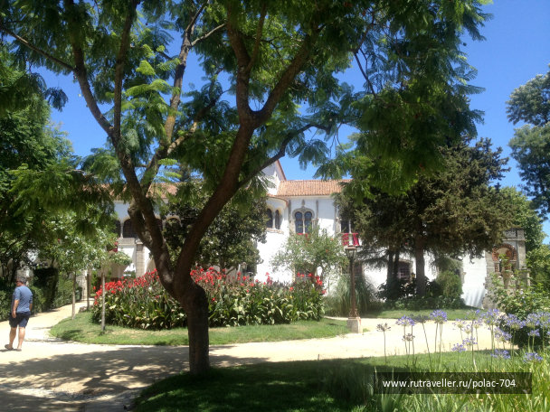 photo 1099553