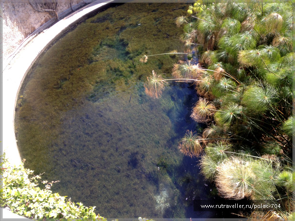 photo 1474625