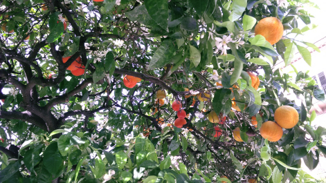 photo 1470093
