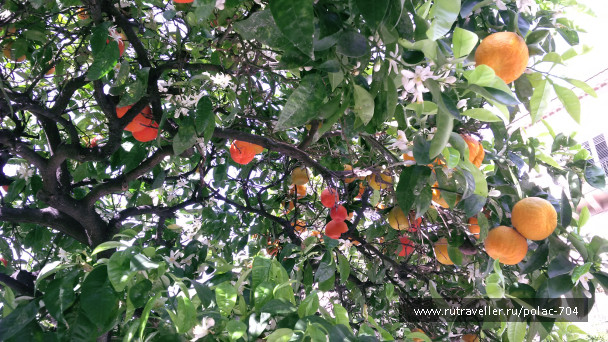 photo 1470093