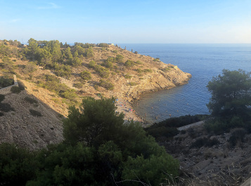 photo 1677396