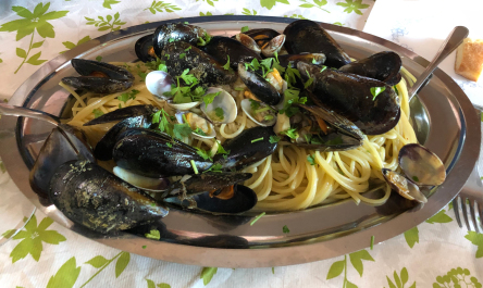 photo 1733784