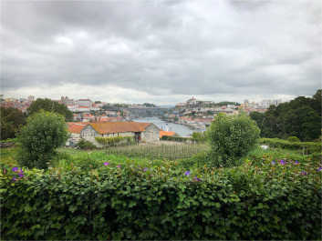 photo 1781229