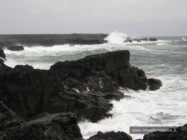 photo 268105