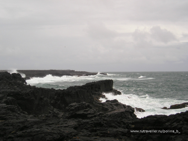 photo 268107