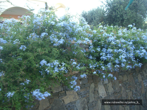 photo 427303