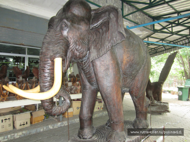 photo 215115