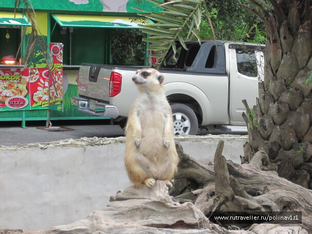 photo 215131