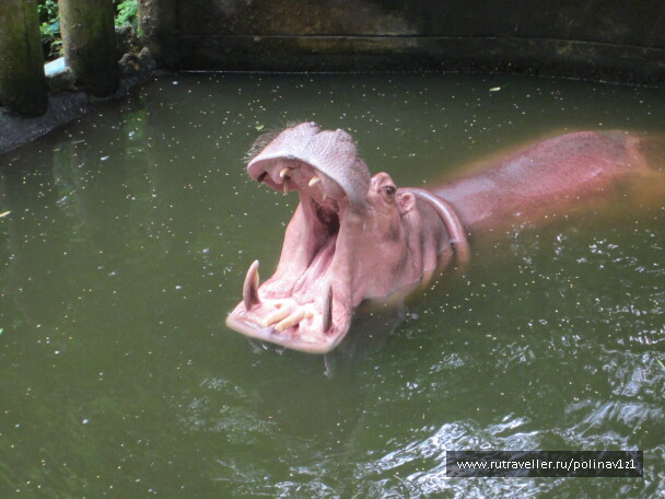 photo 215133