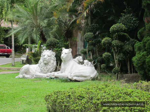 photo 215134