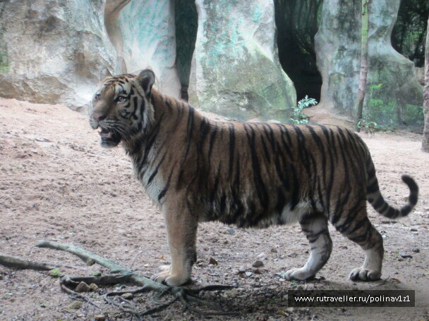 photo 215140