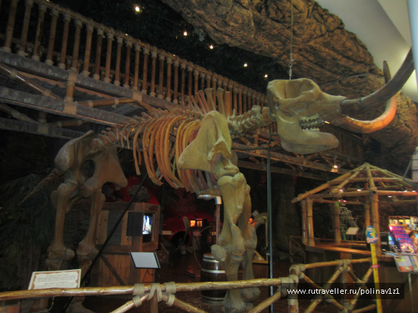 photo 215183