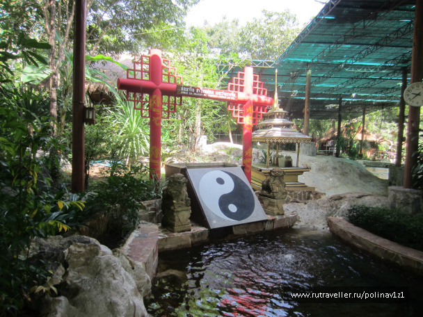 photo 224685