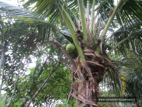 photo 224692
