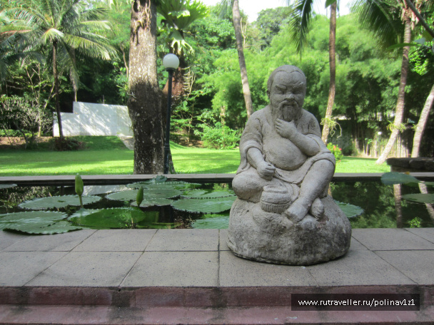 photo 224693