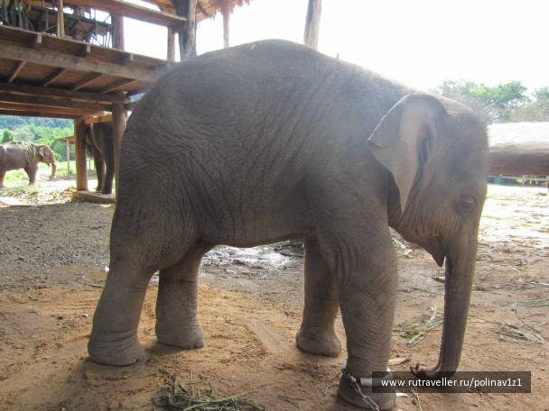 photo 224694