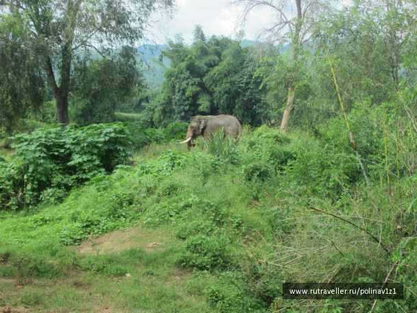 photo 224696