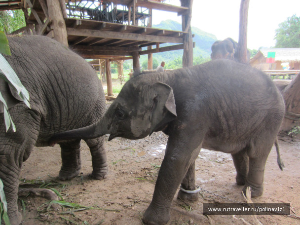 photo 224697