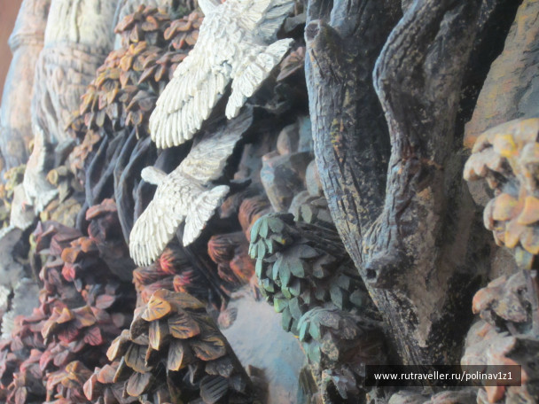 photo 224707