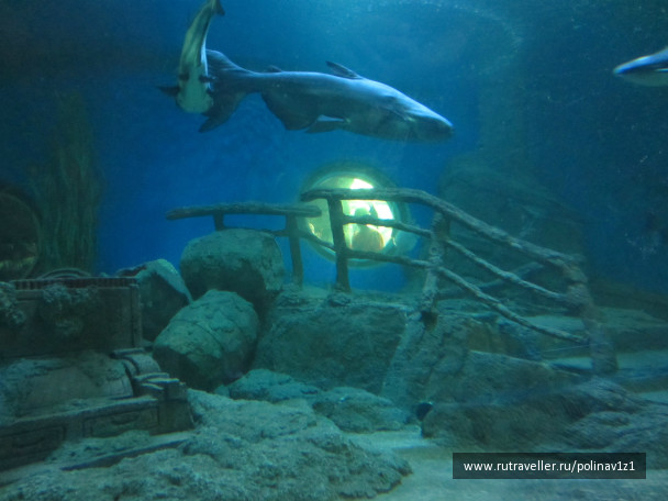 photo 224716