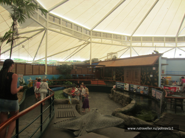 photo 224724