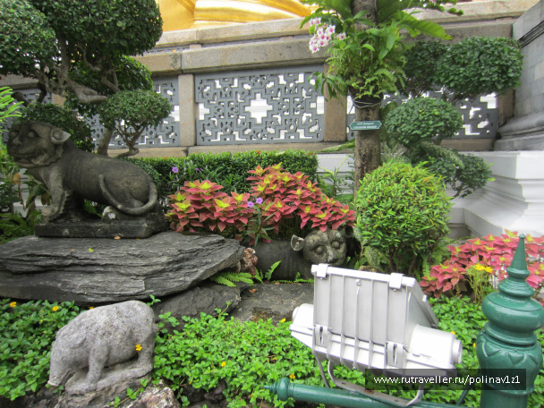 photo 207189