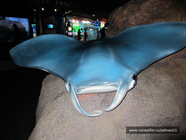 photo 215173