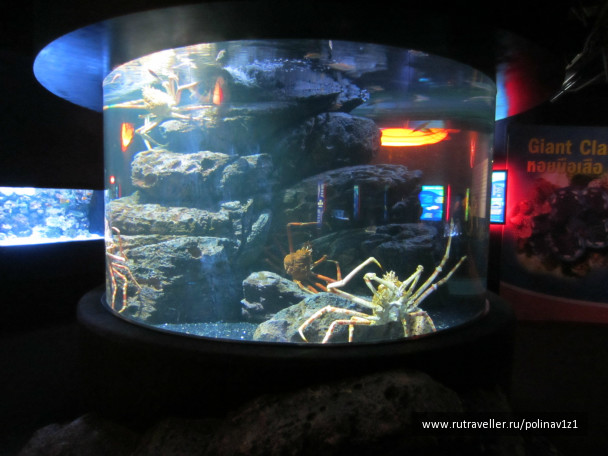 photo 215179