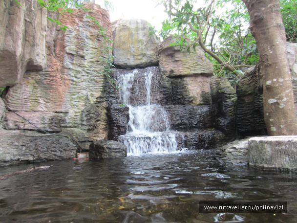 photo 214402