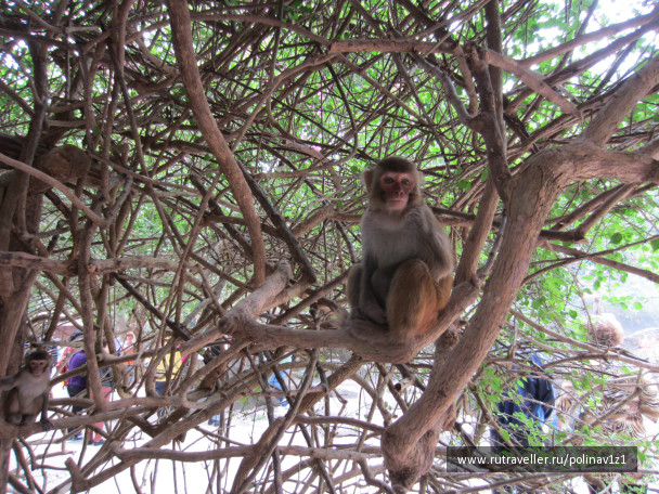 photo 214405