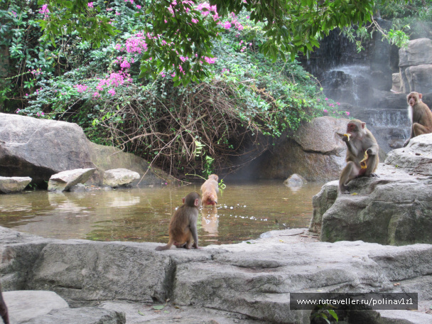 photo 214407