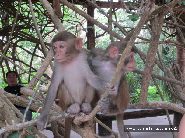 photo 214408