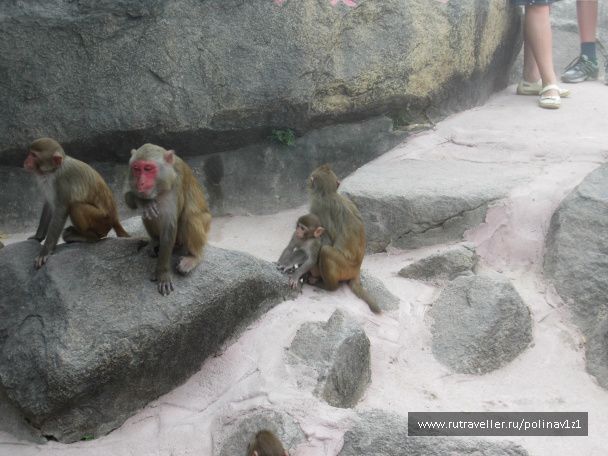 photo 214409