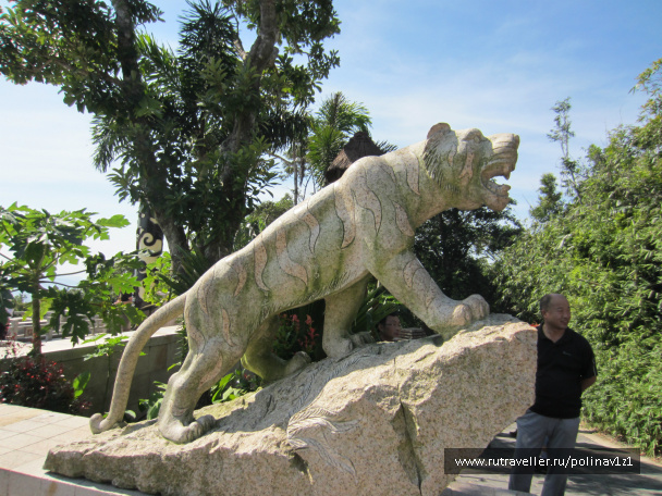 photo 214418