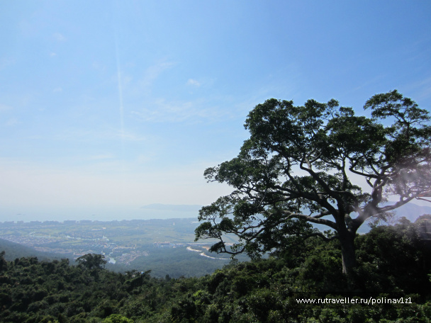 photo 214423