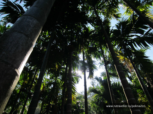 photo 214426