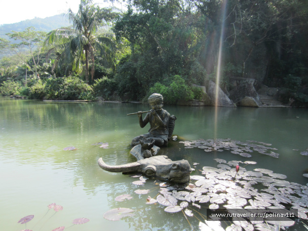photo 214428