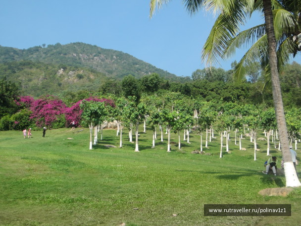 photo 214452