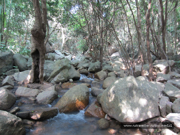 photo 214459