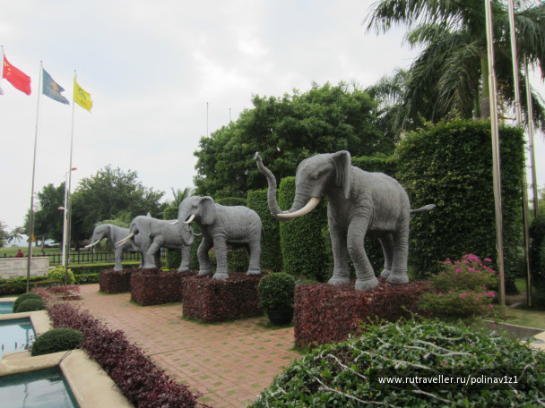 photo 214463