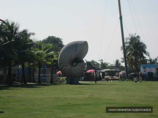 photo 214465