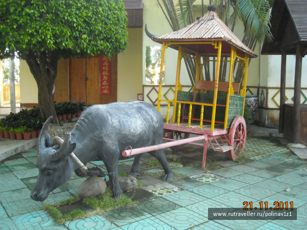 photo 214485
