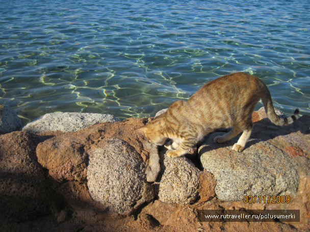 photo 55673