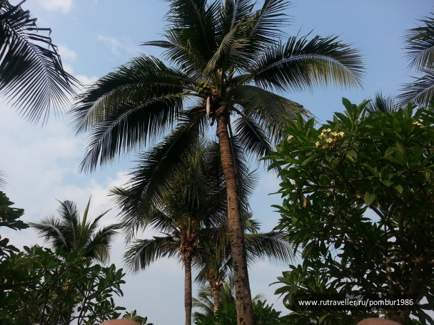 photo 1328982