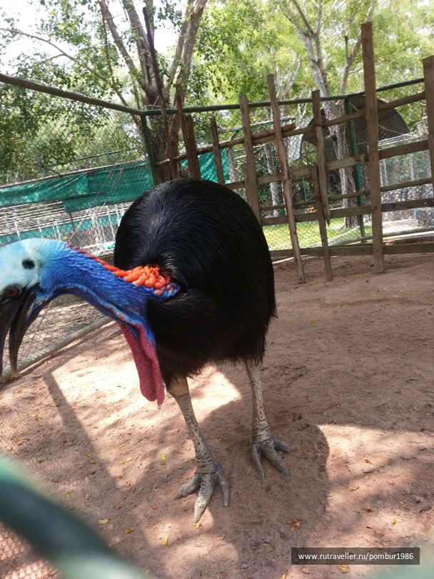 photo 1328983