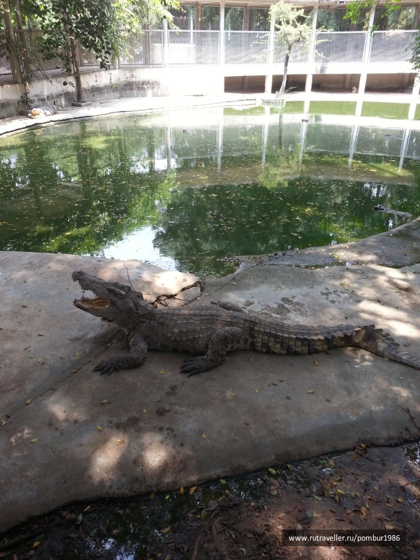 photo 1328984