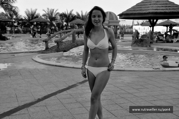 photo 133529